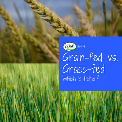 Grain-fed vs. Grass-fed: Which is better?